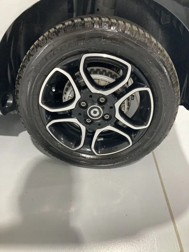 smart forfour usata a Barletta-Andria-Trani (15)