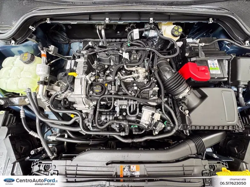 Ford Focus usata a Roma (11)
