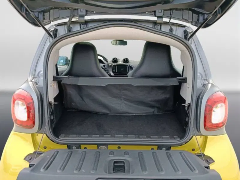 smart Fortwo usata a Teramo (11)