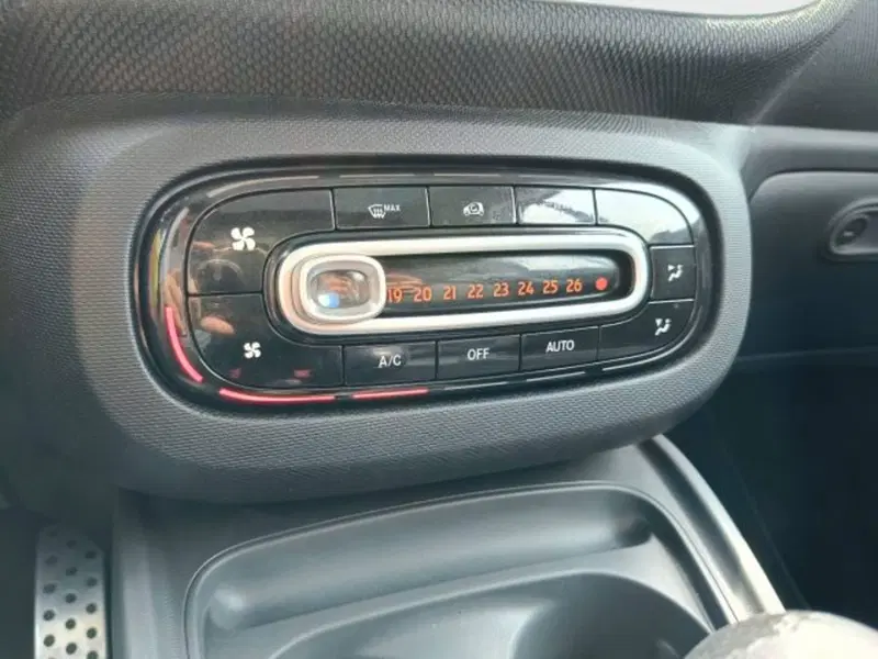 smart Fortwo usata a Teramo (17)