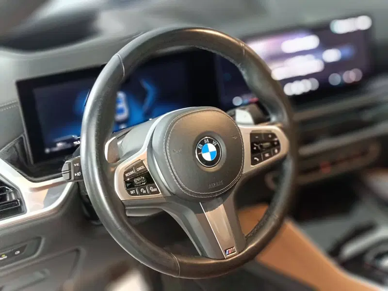 BMW X6 usata a Ascoli Piceno (16)