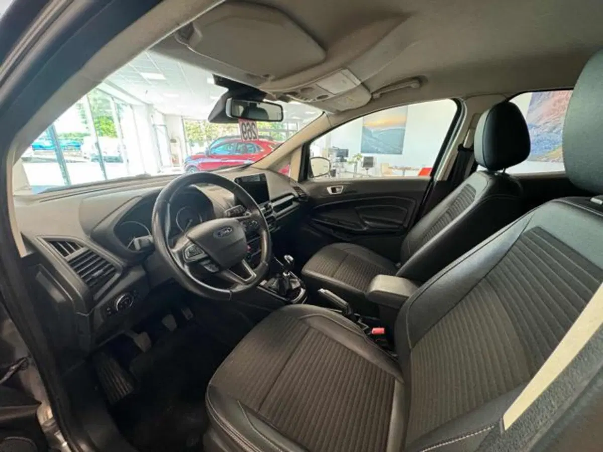 Ford EcoSport usata a Lucca (7)