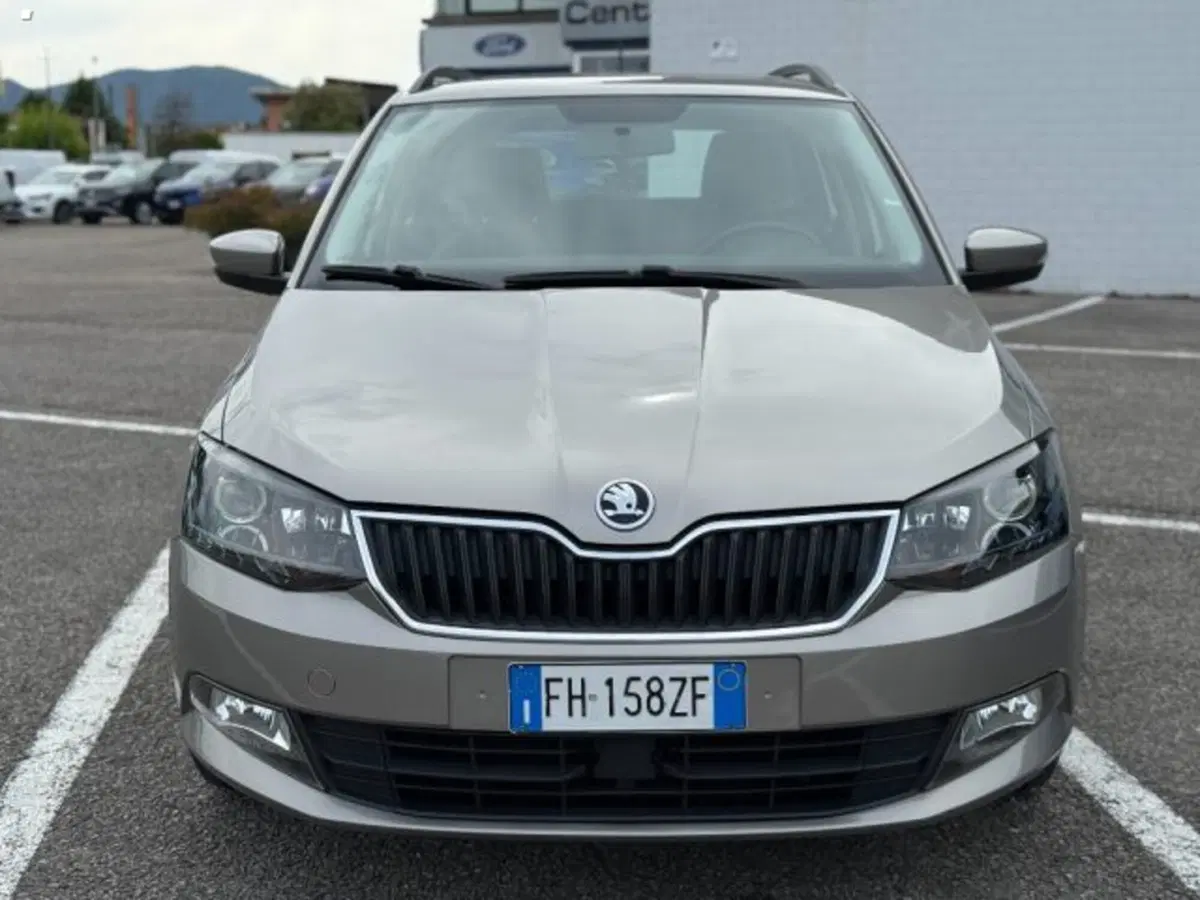 Skoda Fabia Station Wagon usata a Lucca (2)