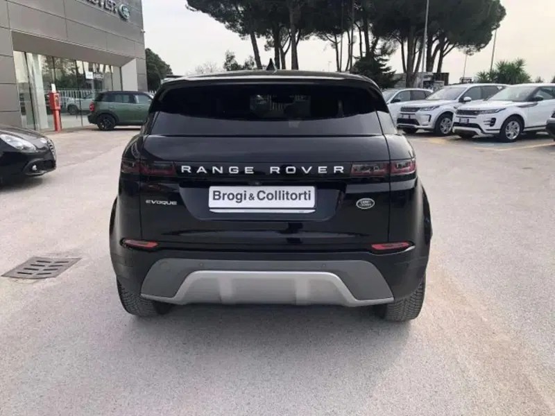 Land Rover Range Rover Evoque usata a Firenze (5)