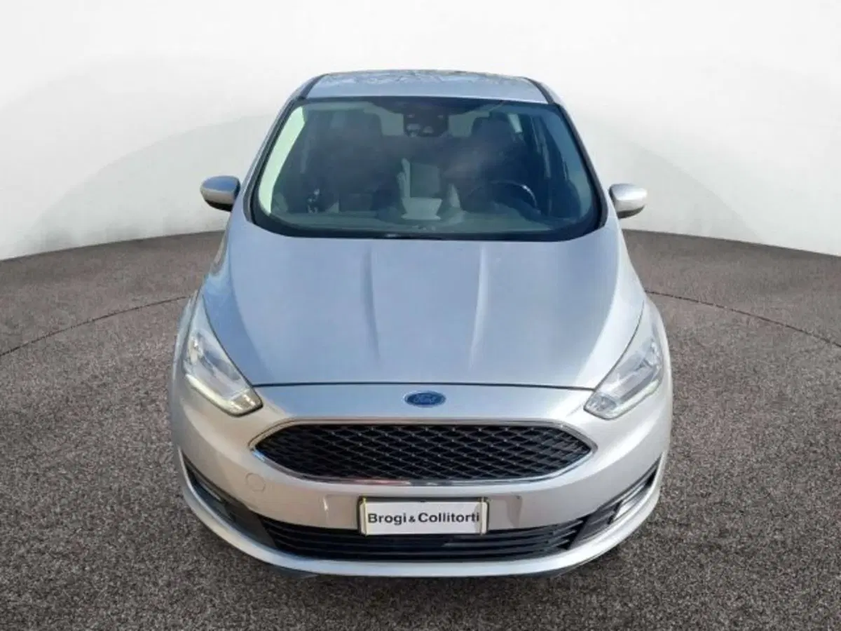 Ford C-Max usata a Firenze (2)