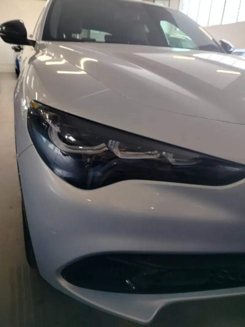 Alfa Romeo Stelvio usata a Forlì-Cesena (14)