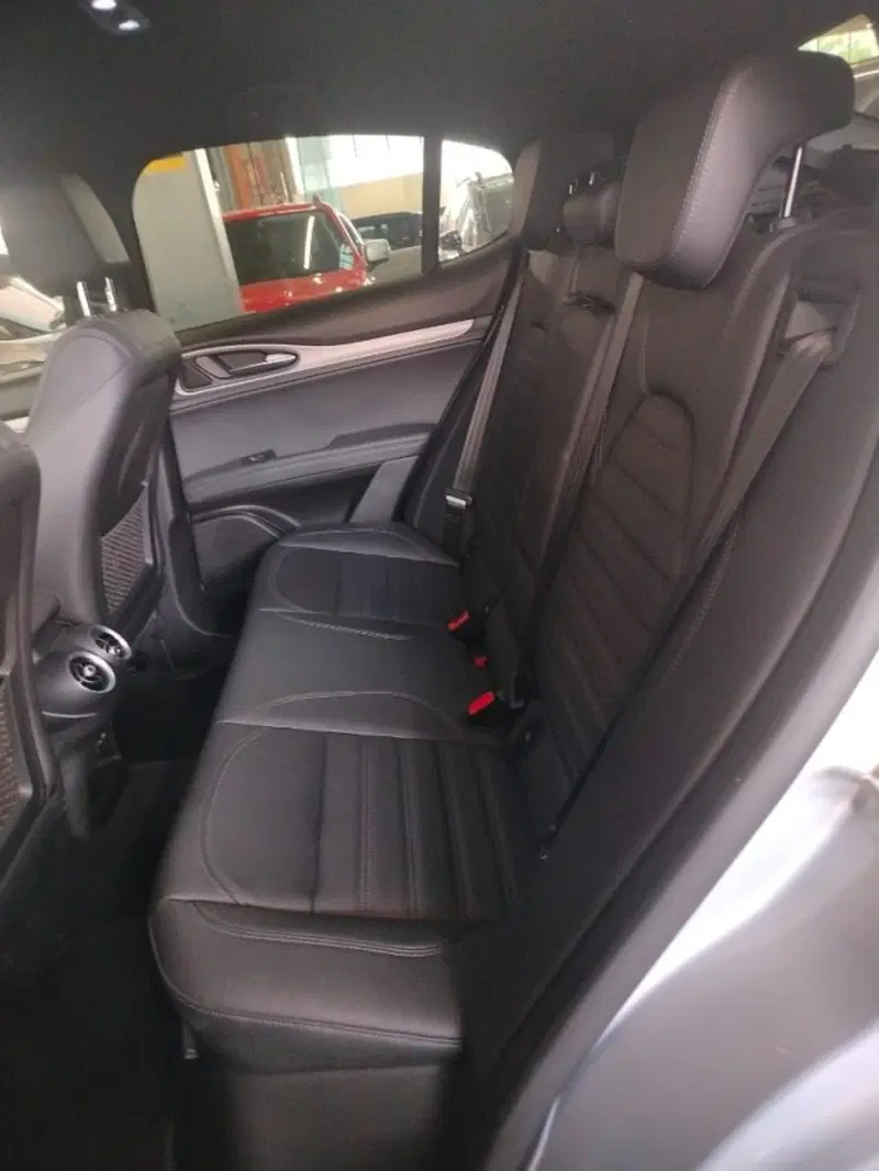 Alfa Romeo Stelvio usata a Forlì-Cesena (15)