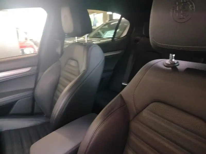 Alfa Romeo Stelvio usata a Forlì-Cesena (17)