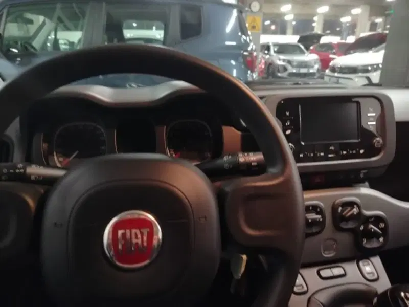 Fiat Panda usata a Forlì-Cesena (19)