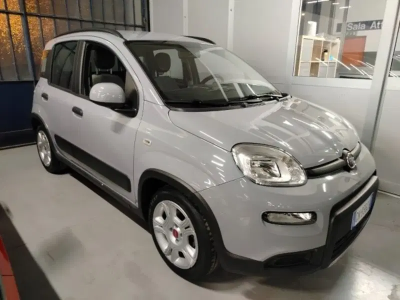 Fiat Panda usata a Forlì-Cesena (3)
