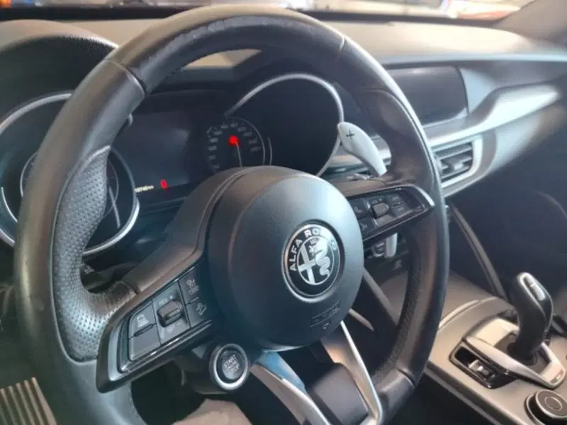 Alfa Romeo Stelvio usata a Forlì-Cesena (14)