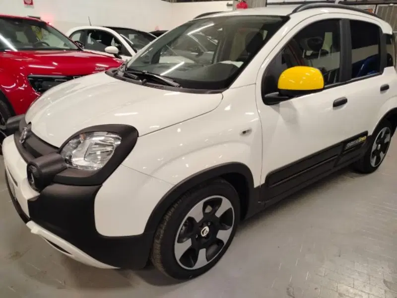 Fiat Panda usata a Forlì-Cesena
