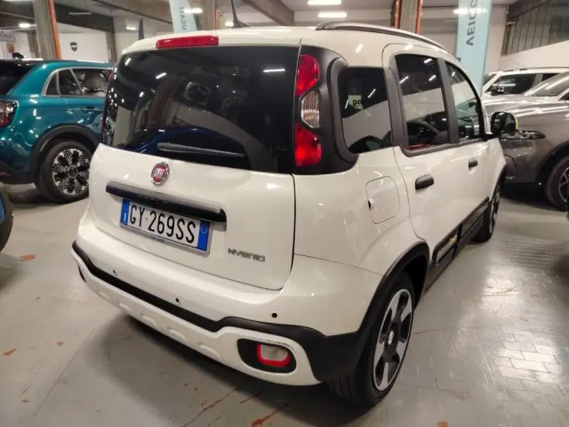 Fiat Panda usata a Forlì-Cesena (9)