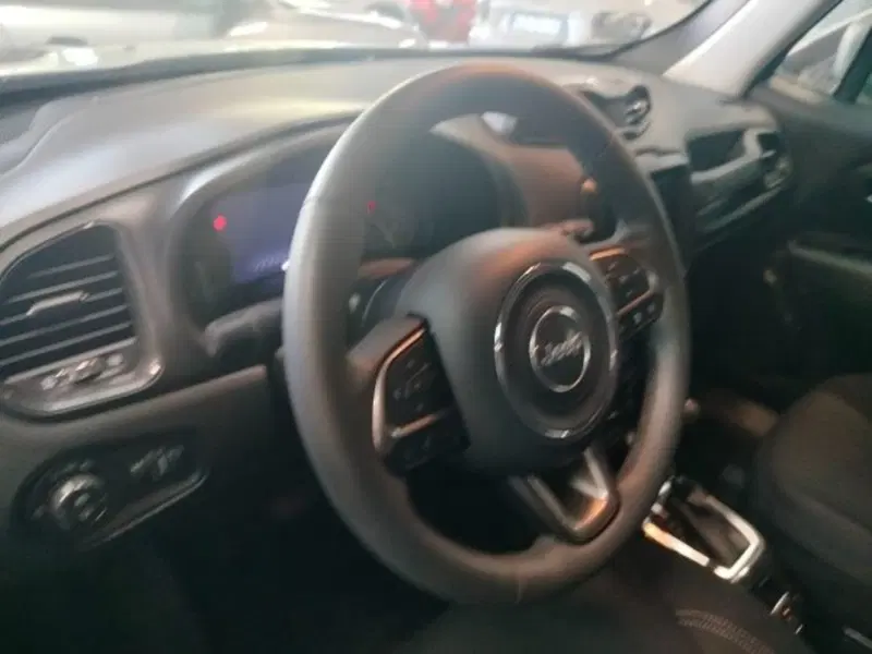 Jeep Renegade usata a Forlì-Cesena (15)