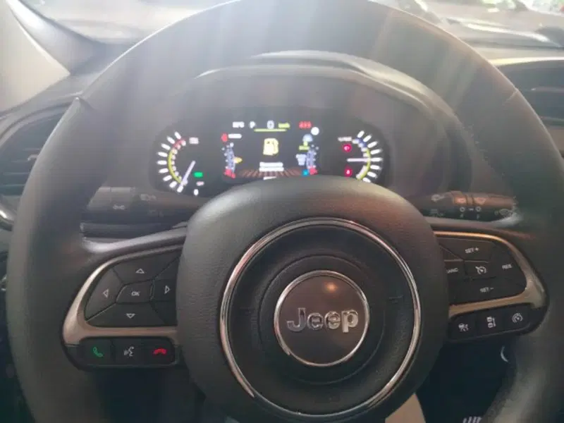 Jeep Renegade usata a Forlì-Cesena (20)
