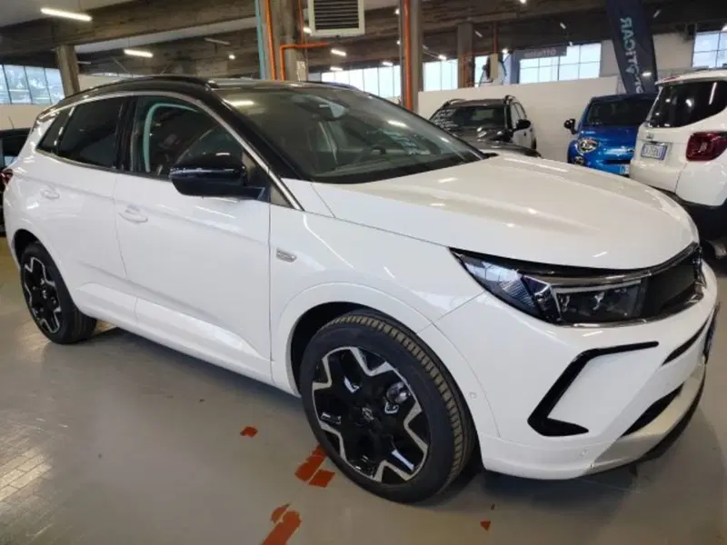 Opel Grandland usata a Forlì-Cesena (6)