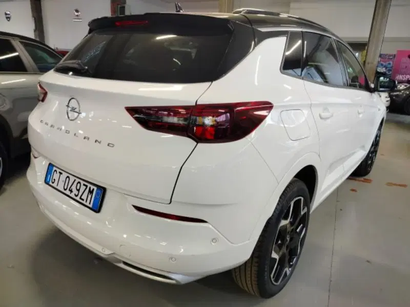 Opel Grandland usata a Forlì-Cesena (8)