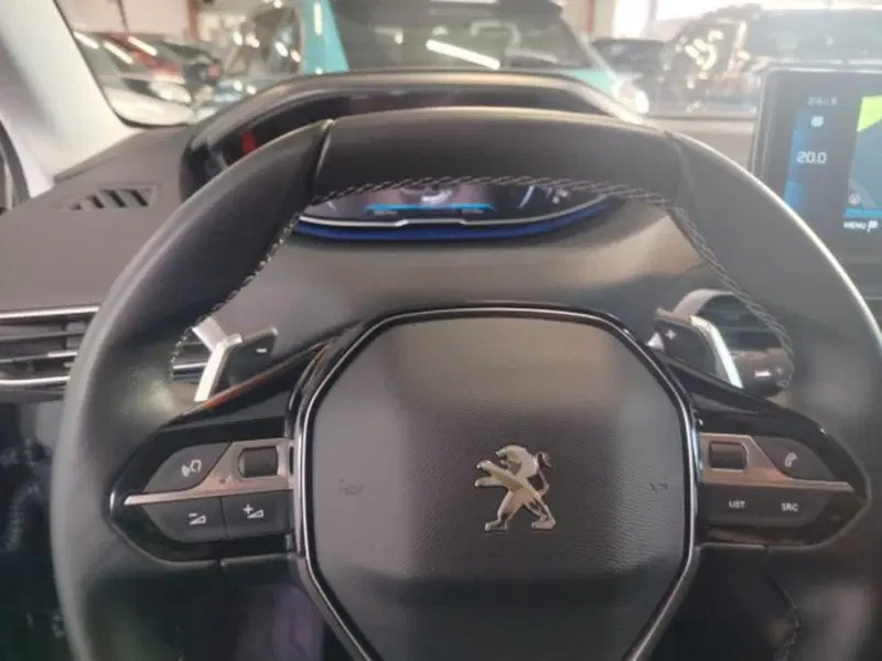 Peugeot 3008 usata a Forlì-Cesena (19)
