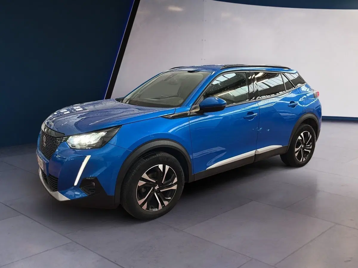 Peugeot 2008 usata a Torino (2)