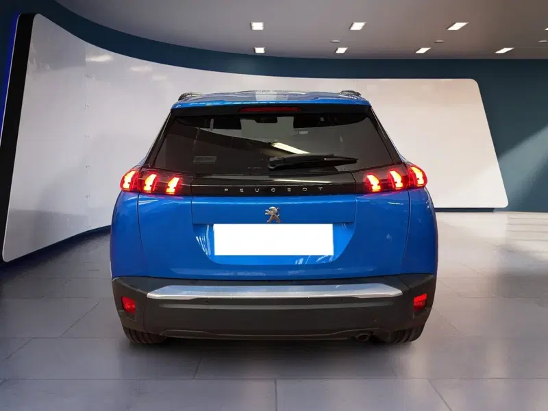 Peugeot 2008 usata a Torino (5)