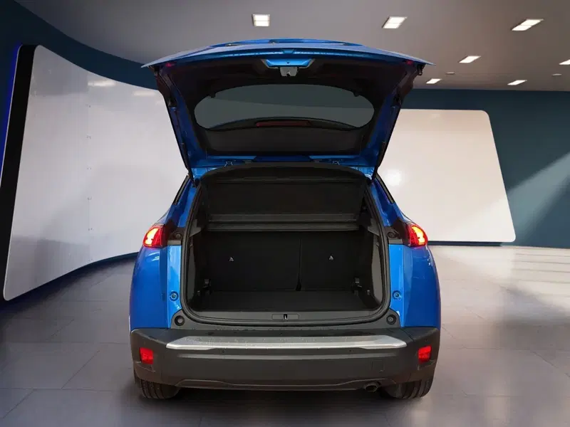 Peugeot 2008 usata a Torino (7)