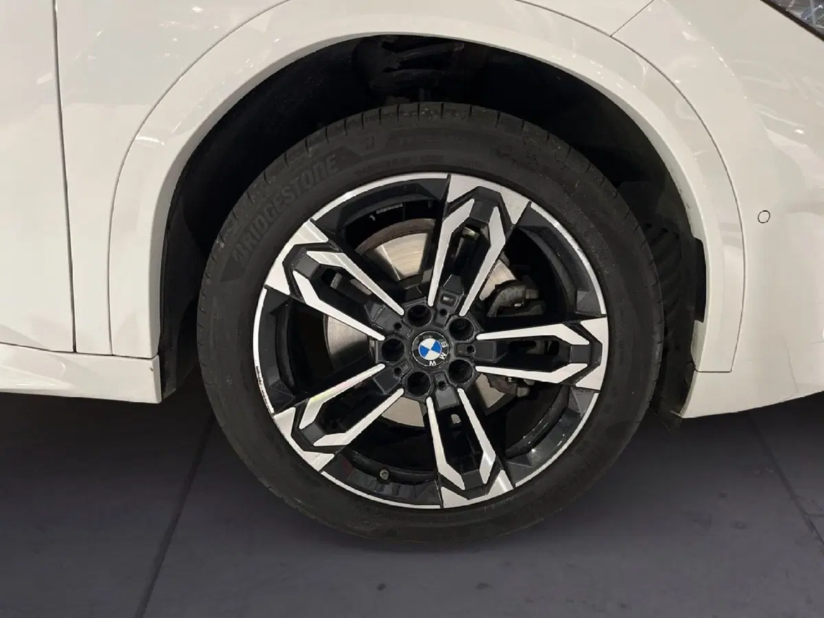 BMW X2 usata a Torino (5)