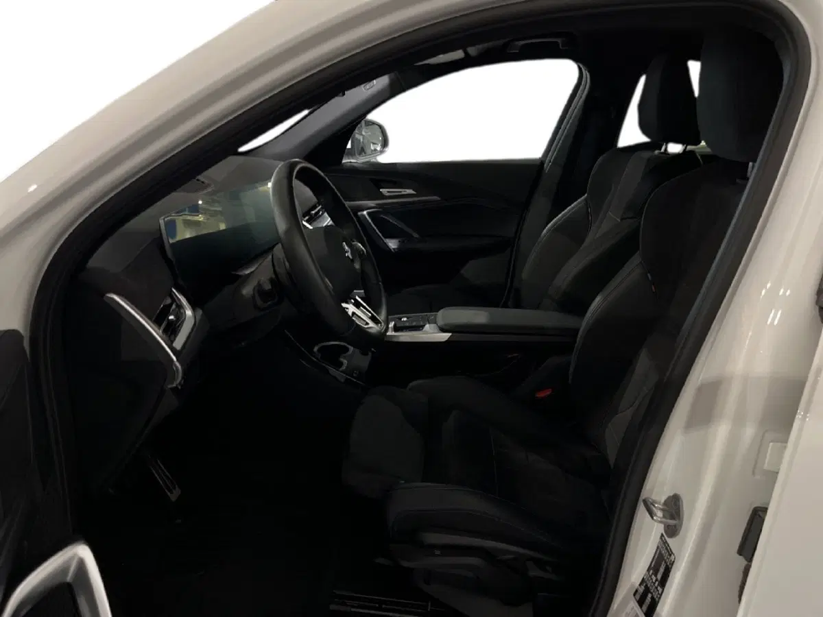 BMW X2 usata a Torino (7)