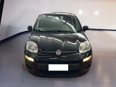 Fiat Panda 1.2 EasyPower Easy del 2020 usata a Torino