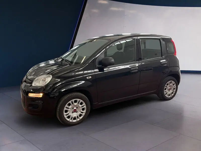 Fiat Panda usata a Torino (3)