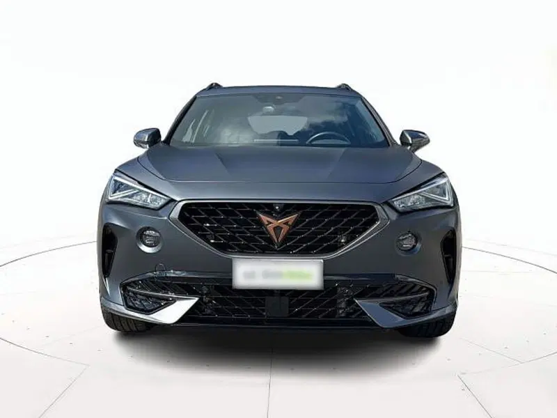 Cupra Formentor usata a Vicenza (2)