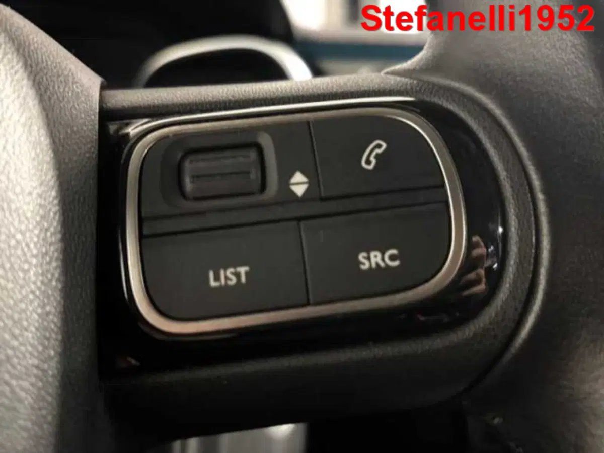 Citroen C3 usata a Bologna (19)