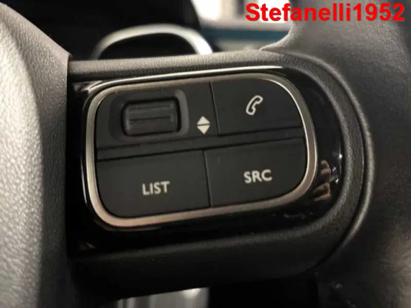 Citroen C3 usata a Bologna (19)