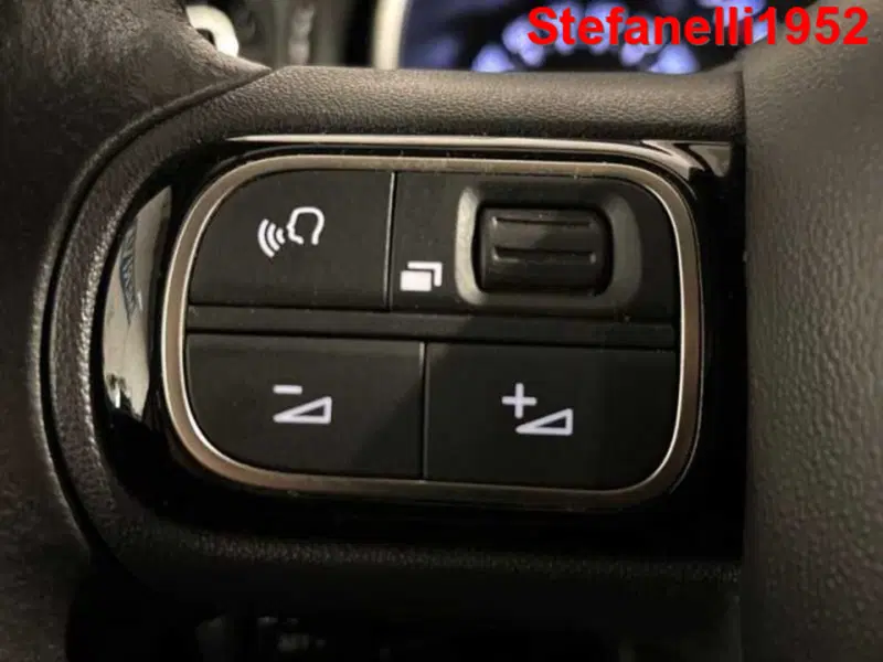 Citroen C3 usata a Bologna (20)