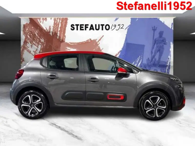 Citroen C3 usata a Bologna (3)