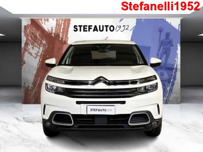 Citroen C5 Aircross usata a Bologna (2)