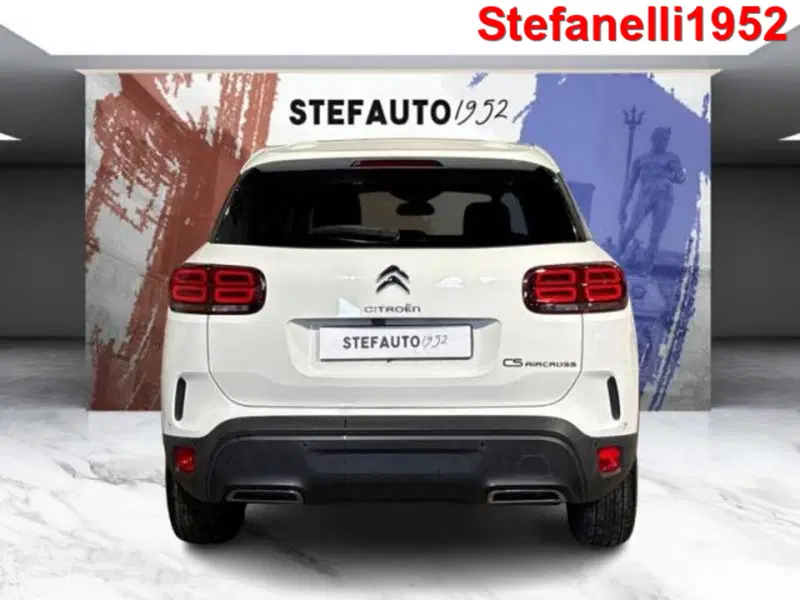 Citroen C5 Aircross usata a Bologna (6)
