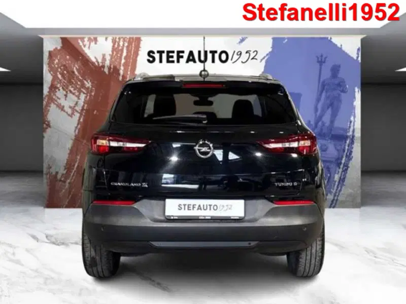 Opel Grandland X usata a Bologna (6)