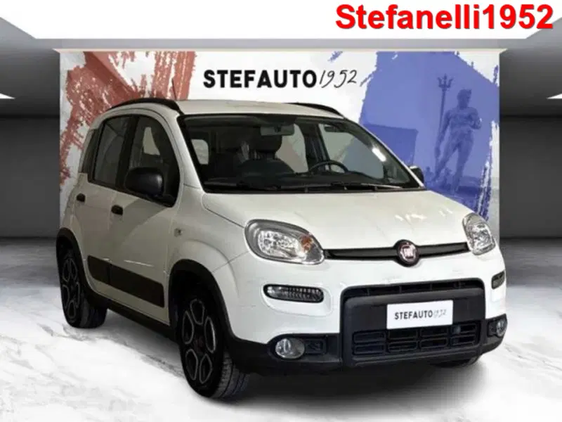 Fiat Panda usata a Bologna