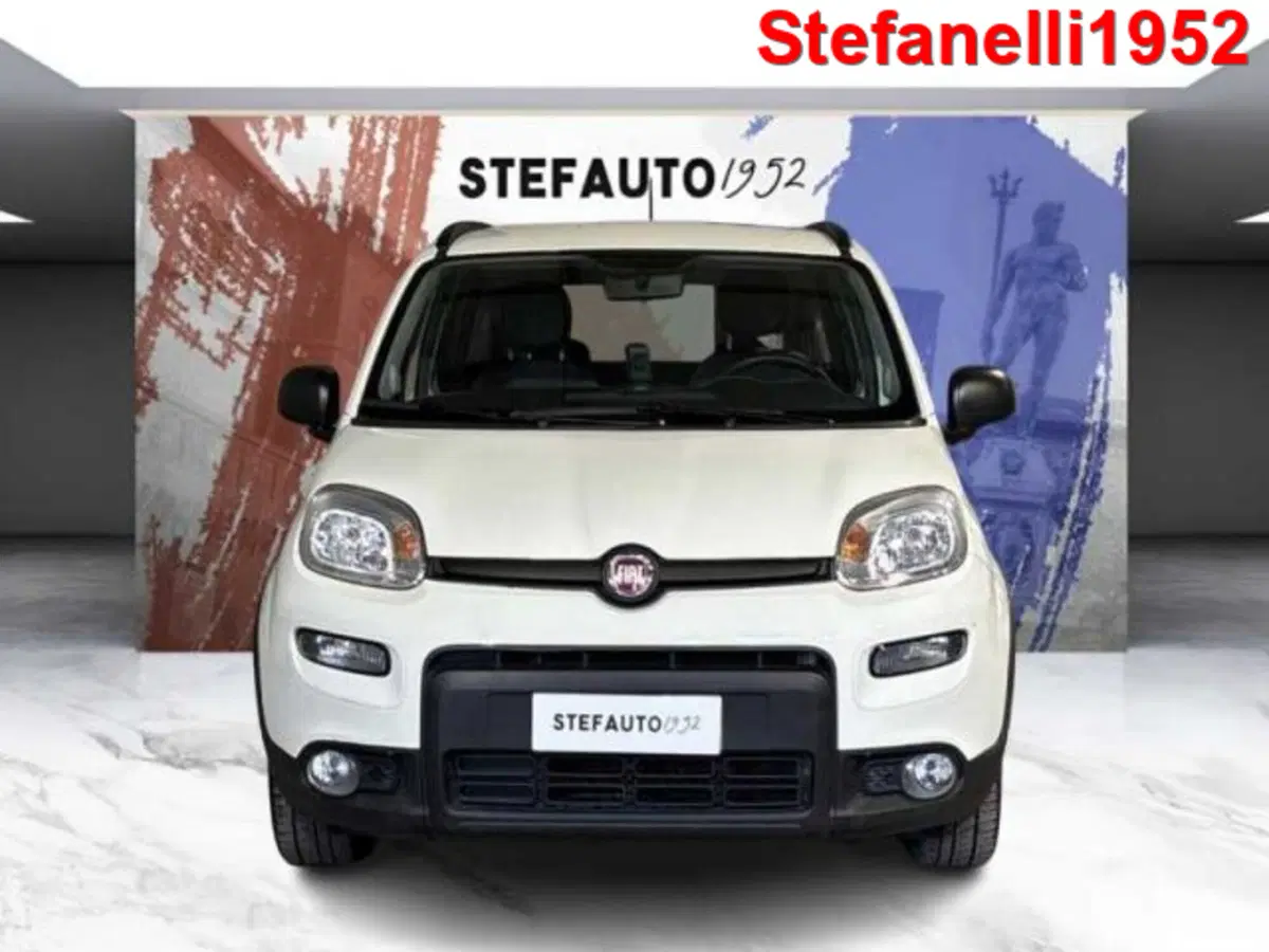 Fiat Panda usata a Bologna (2)