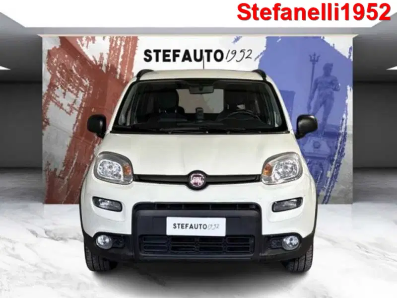 Fiat Panda usata a Bologna (2)