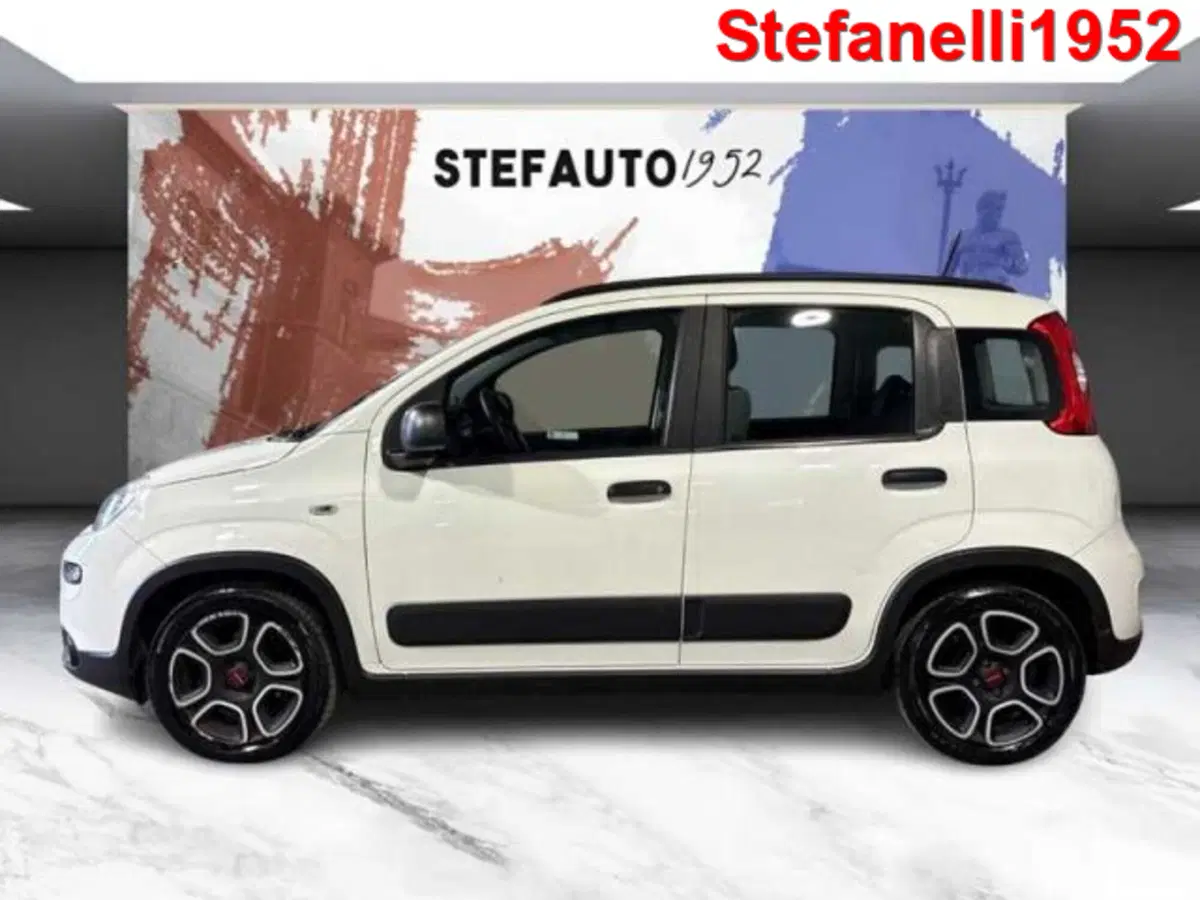 Fiat Panda usata a Bologna (4)