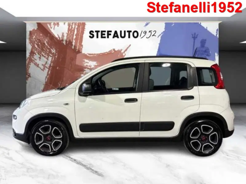 Fiat Panda usata a Bologna (4)