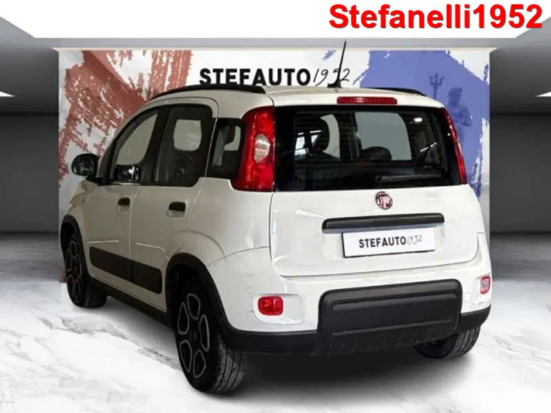 Fiat Panda usata a Bologna (5)