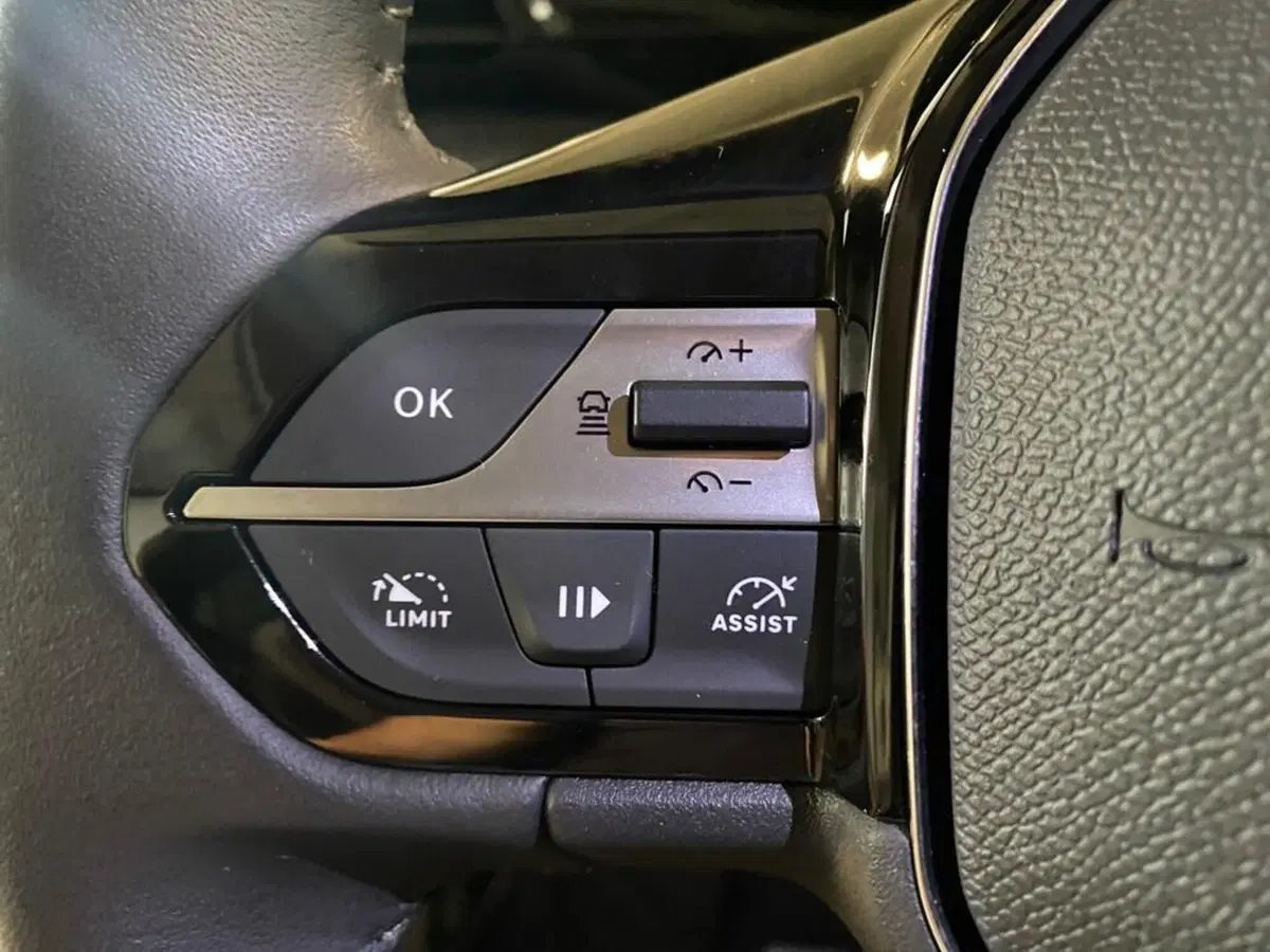 Peugeot 308 SW usata a Torino (13)