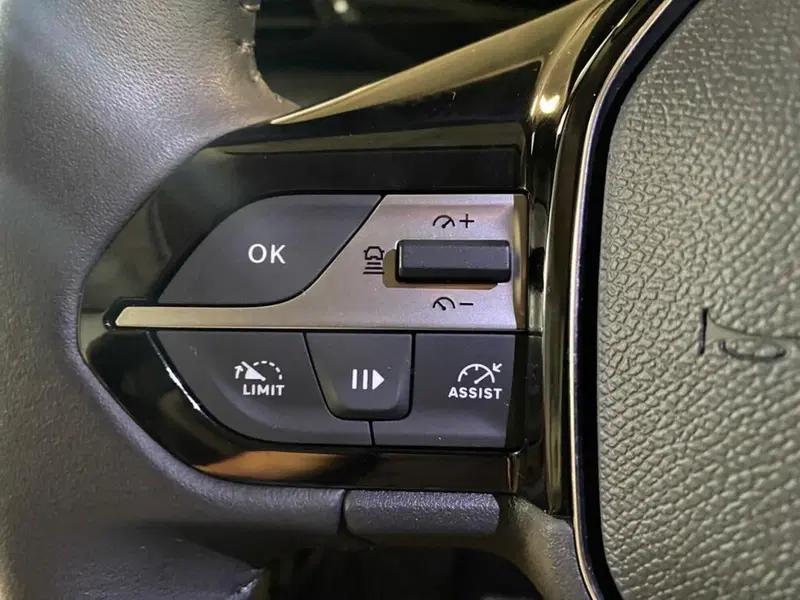 Peugeot 308 SW usata a Torino (13)