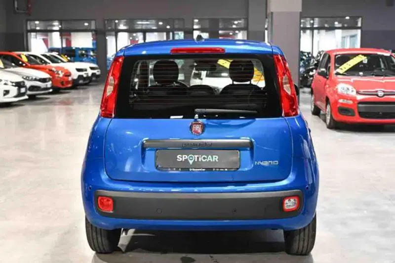 Fiat Panda nuova a Torino (6)