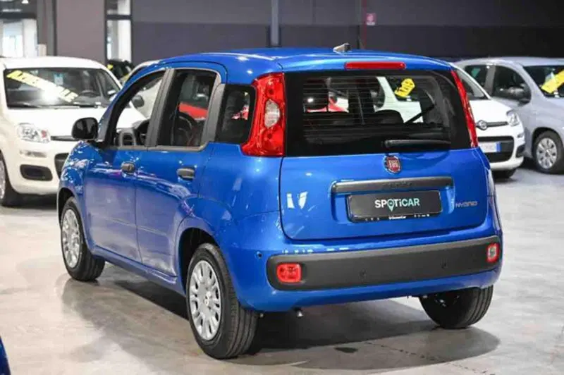 Fiat Panda nuova a Torino (7)