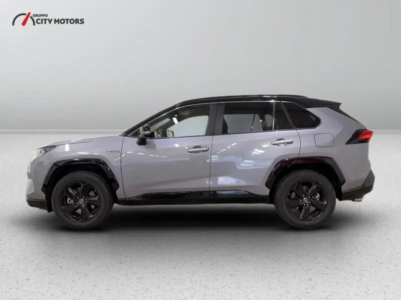 Toyota Rav4 usata a Monza e Brianza (4)