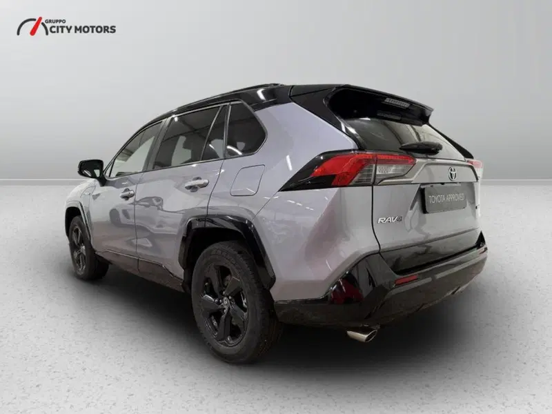 Toyota Rav4 usata a Monza e Brianza (5)