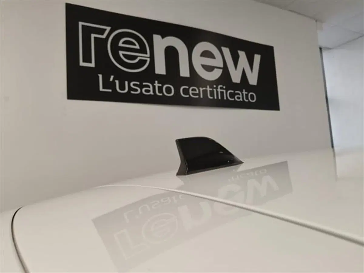 Renault Clio usata a Siena (18)